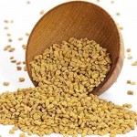 JPURE Methi 100GM